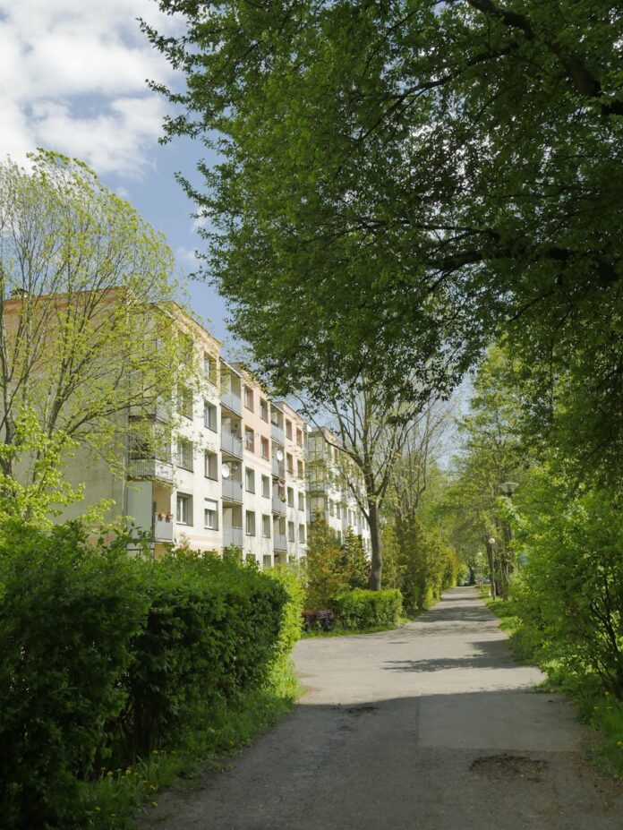 Jakie są najnowsze trendy w lokalnym biznesie w Bielawie?