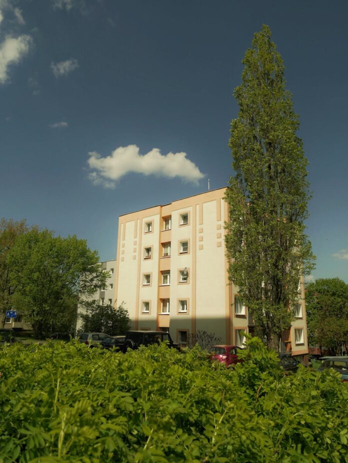 Zalety posiadania ogrodu w miejskim otoczeniu